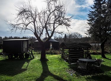 Prachtig ingerichte yurt in Drenthe - 3