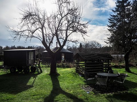 Prachtig ingerichte yurt in Drenthe - 3