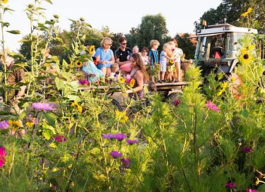 Glamping auf einem Ackerbauernhof - 14