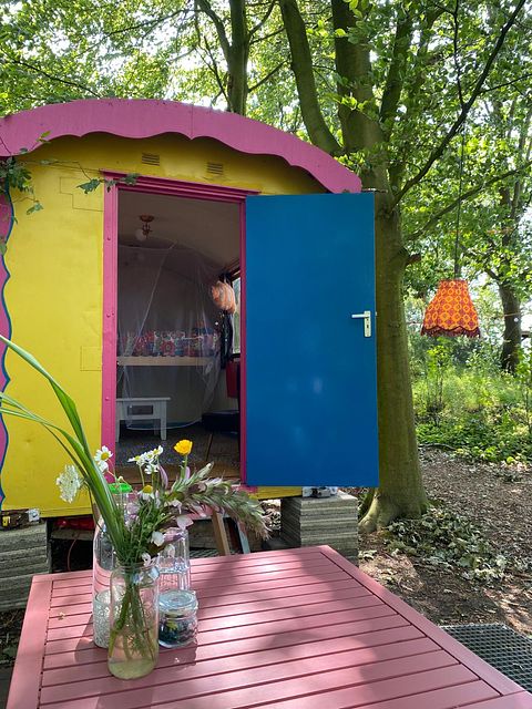 Colorful gipsy wagon in the Groningen forest - 4