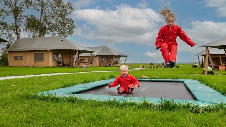 Glamping à la ferme des vaches laitières et des veaux - 1