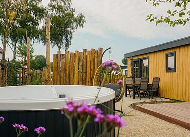Luxury chalet with jacuzzi on the Veluwe