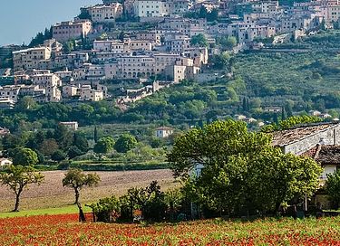 Séjour confortable avec terrasse couverte privée - 38
