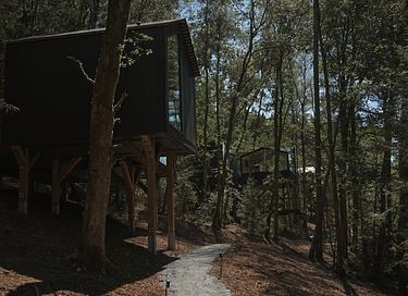 A unique overnight stay among the trees - 11