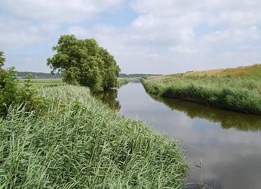 Unieke B&B in oud gemeentehuis in Zeeland - 18