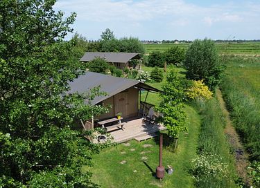 Glamping entre les prés à Groningue