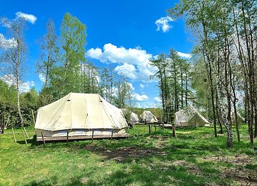Glamplodge met privé sanitair in Friesland - 9