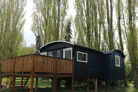 XL Zirkuswagen in Ruhe und Natur - 3