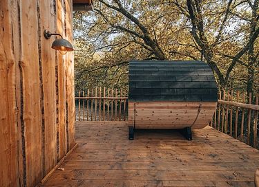 Treelodge avec sauna dans les Ardennes - 5