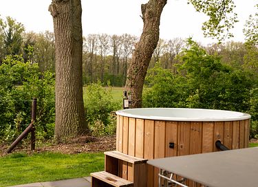 Wellness holiday home in Overijssel - 5