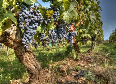 Se détendre et profiter de la nature en France - 34