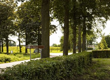 Zelt-Ferienhaus auf einem Milchviehbetrieb in der Betuwe - 42