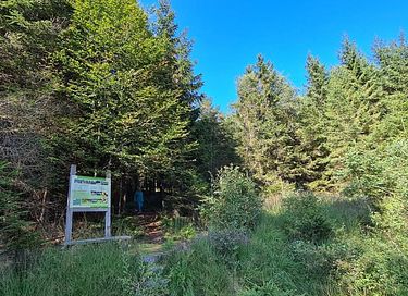 Appartement à l'orée de la forêt pour 2 personnes - 26