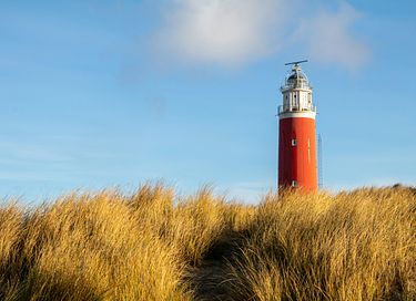 Wohnung mit Meerblick auf Texel - 18