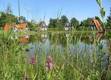Knus huisje aan een visvijver in het groen - 3
