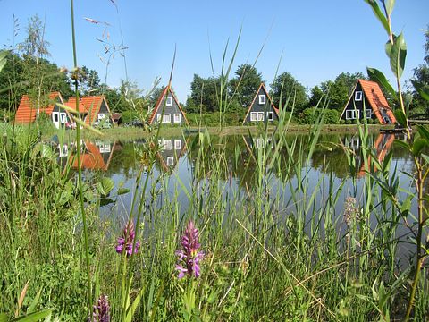 Knus huisje aan een visvijver in het groen - 3