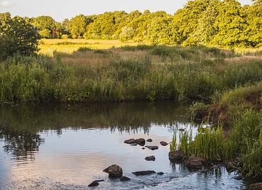 Romantisch overnachten in een herderswagen - 24