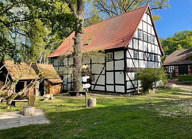 Historische watermolen in groene omgeving - 4