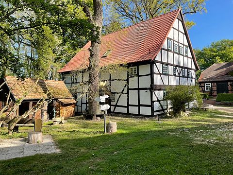 Historische watermolen in groene omgeving - 4