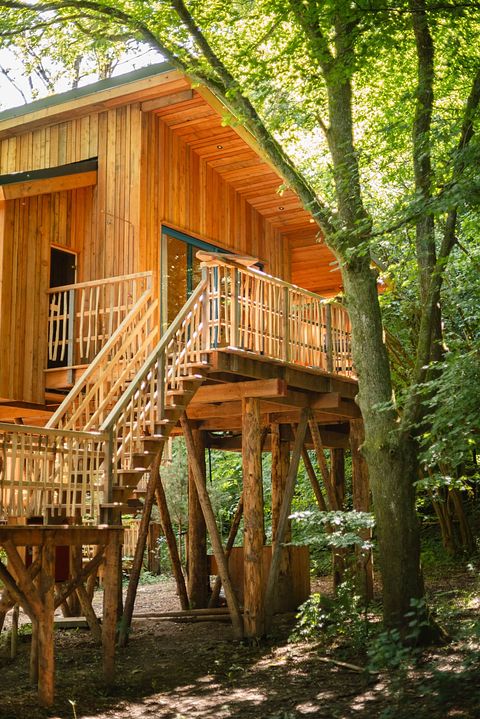 Cabane perchée romantique avec bain nordique  - 2