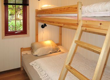 Vakantiehuisje met sauna midden in het bos  - 16