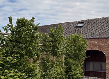 Groepshuis (16p) met sauna in de Ardennen - 15