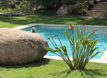 Stimmungsvolle Casita mit Meerblick - 5