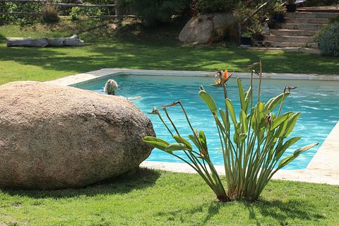 Stimmungsvolle Casita mit Meerblick - 5
