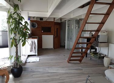 Sauna en jacuzzi in Tiny House/Vakantiehuisje - 10