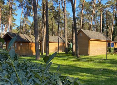 Trekkershut voor 4 personen in het bos - 8