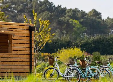 Prachtige natuurlodge (6p) in Bretagne - 15