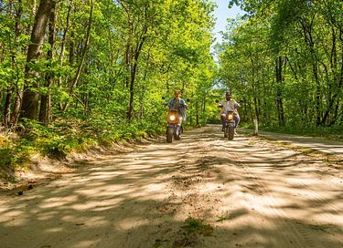 Gemütliche Ferienwohnung (4p) auf der Veluwe - 30
