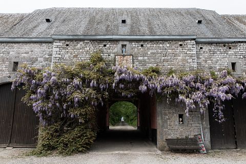Groepsaccommodatie (12p) in een chateau - 5
