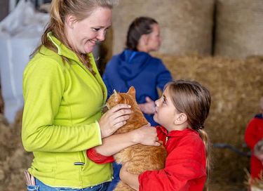  Glamping à la ferme laitière et animale - 16
