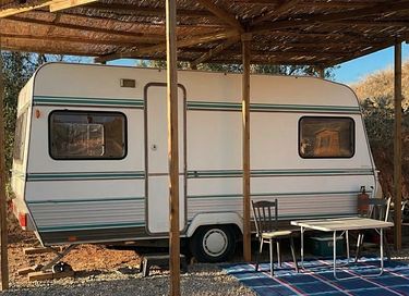 Retro caravan in olive grove