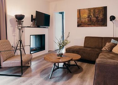 Maison de luxe à Veluwe avec cheminée à gaz - 4