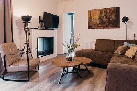 Maison de luxe à Veluwe avec cheminée à gaz - 4