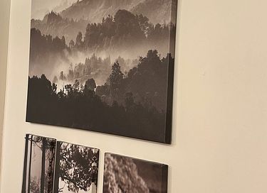 Forest cabin in the Ardennes (4p) - 14