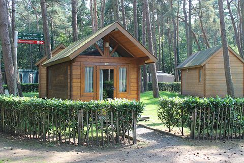 Trekkershut voor 4 personen in het bos - 3