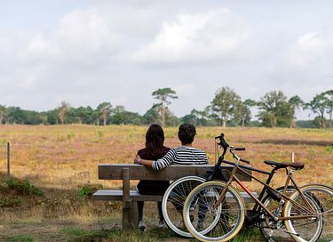 Vrijstaande villa (6p) met tuin  - 15
