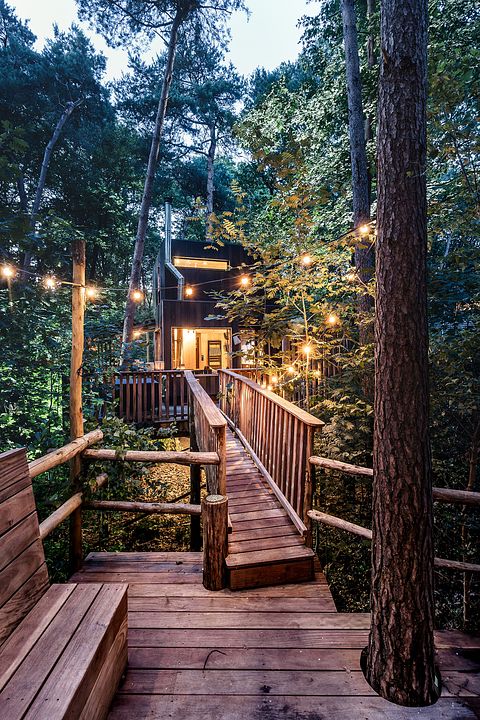 Unique treehouse (5p) with private hot tub - 2