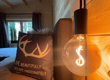 Tough luxury Scandinavian forest lodge on Veluwe - 21