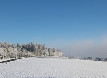 Apartment in Winterberg (Sauerland) - 16