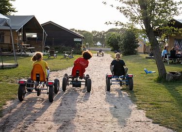 Glamping op Paarden & ponyboerderij - 2