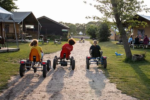 Glamping op Paarden & ponyboerderij - 2