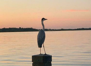 Moderne houseboot aan het Sneekermeer - 12