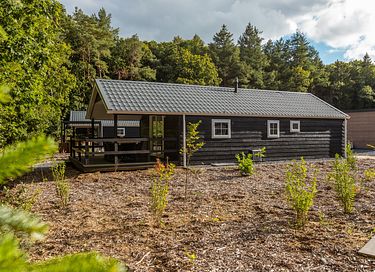 Chalet confortable avec véranda et jacuzzi dans la province de Drenthe - 14