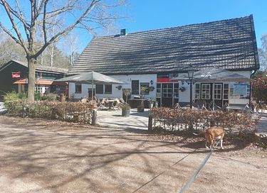 Scandinavisch huisje op de Veluwe - 37