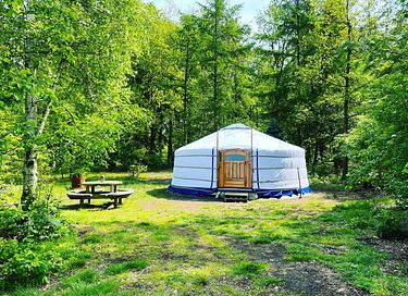 Charming yurt with a view of nature