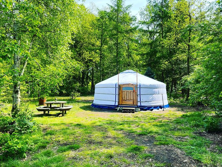 Charming yurt with a view of nature - 1